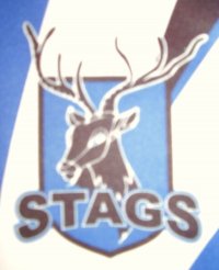 stag.jpg